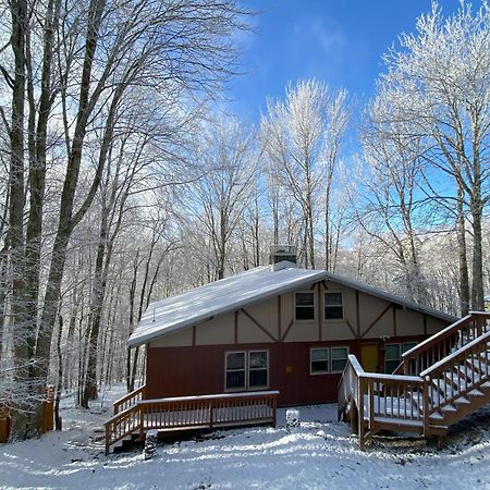 Cozy Cabin With Boosted Wi-Fi บีชเมาน์เทน ภายนอก รูปภาพ
